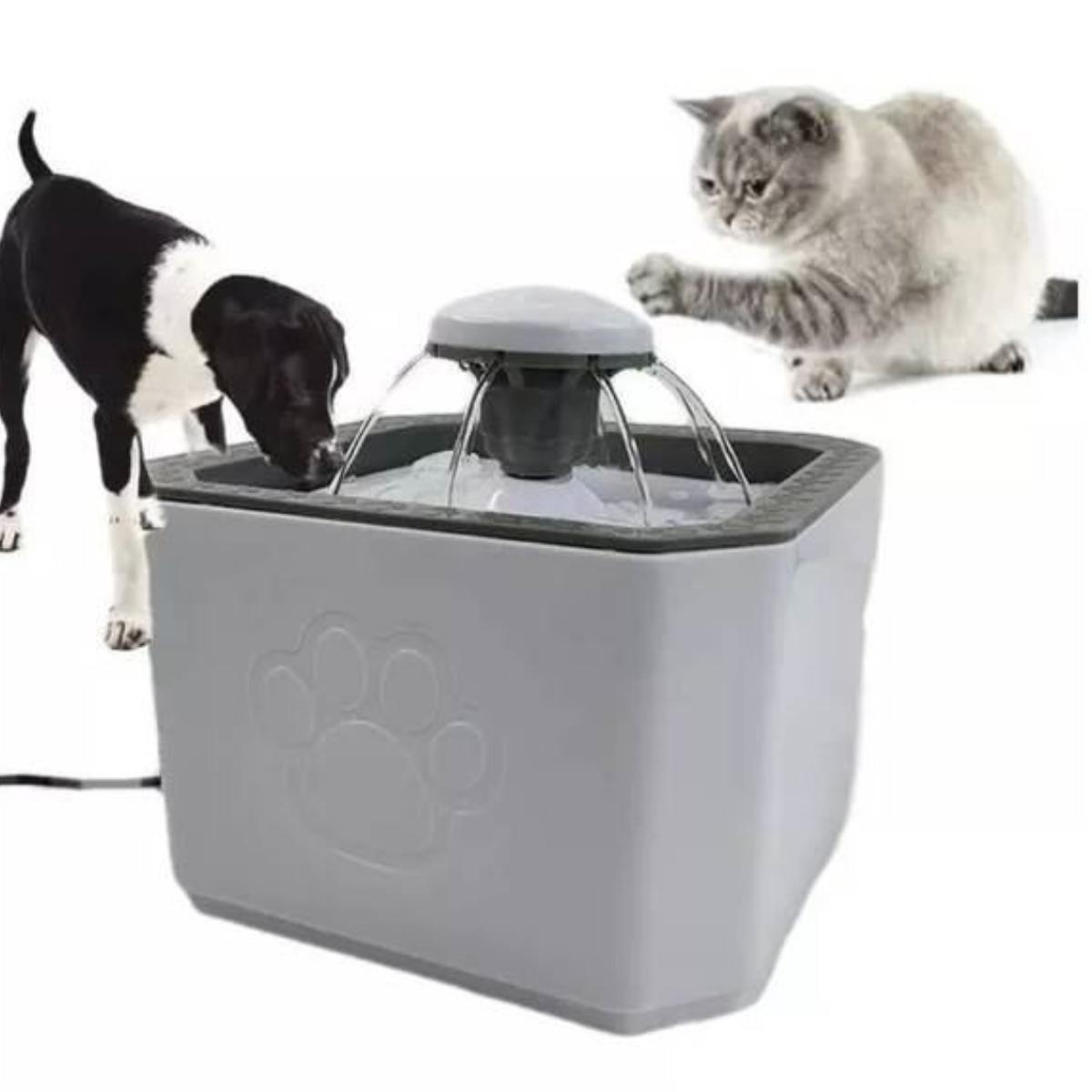 Fuente de Agua Automática 2.5 L - Color Verde